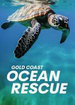Watch Gold Coast Ocean Rescue Vumoo
