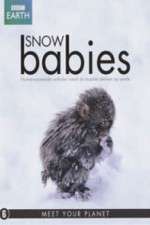 Watch Snow Babies Vumoo