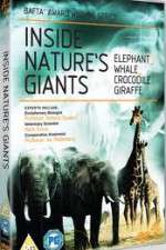 Watch Inside Nature's Giants Vumoo