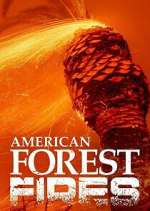 Watch American Forest Fires: The Untold Story Vumoo