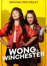 Watch Wong & Winchester Vumoo
