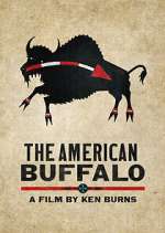 Watch The American Buffalo Vumoo