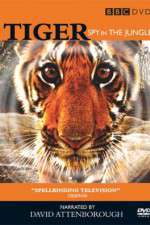 Watch Tiger: Spy in the Jungle Vumoo