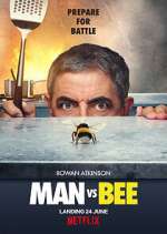 Watch Man Vs Bee Vumoo