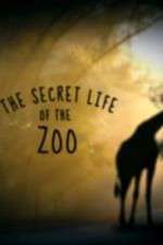 Watch The Secret Life of the Zoo Vumoo