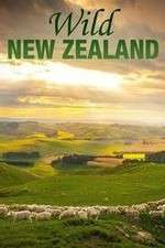 Watch Wild New Zealand Vumoo